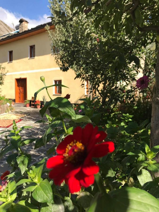Guest House Sabriu Rabdisht Exterior foto